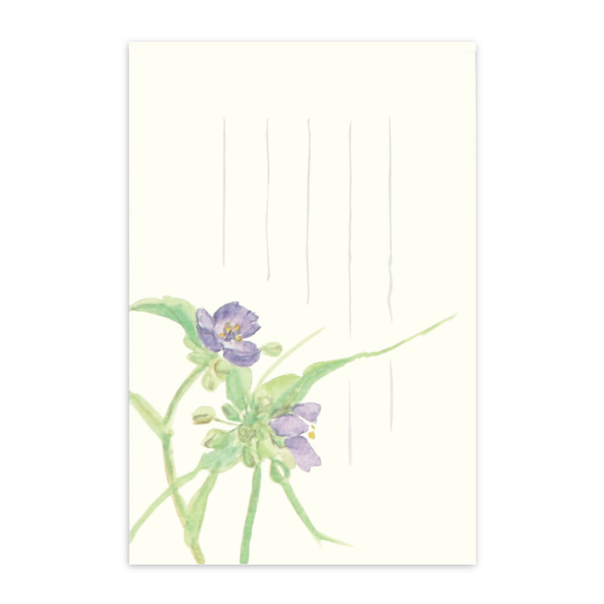 めでたや】季節の絵はがき 夏 つゆくさ – めでたやオンラインショップ