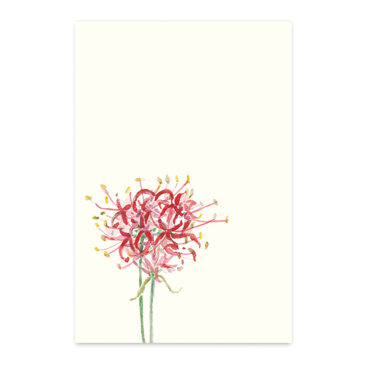 めでたや】季節の絵はがき 秋 彼岸花 – めでたやオンラインショップ