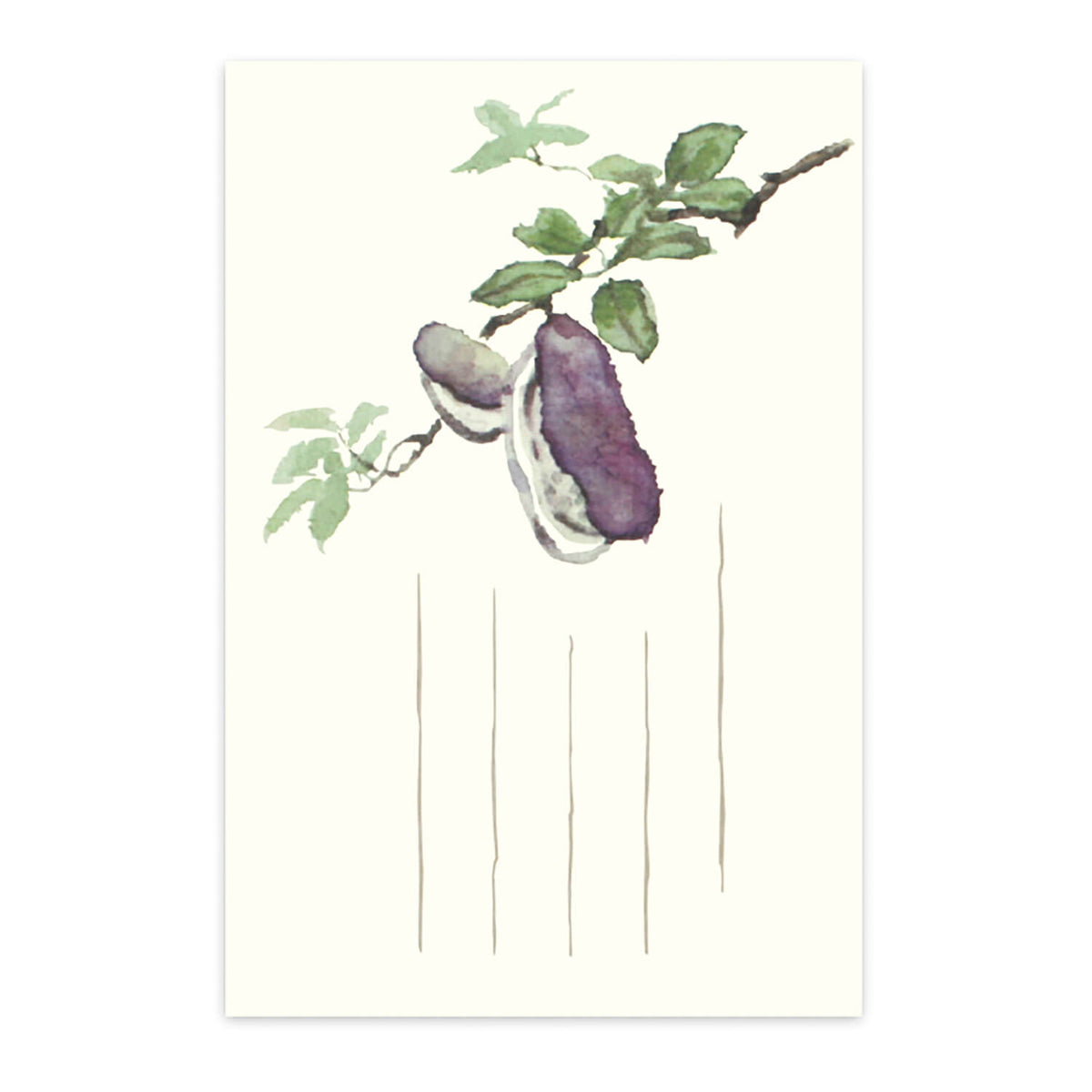 2024SA142_1200x1200.jpg?v=