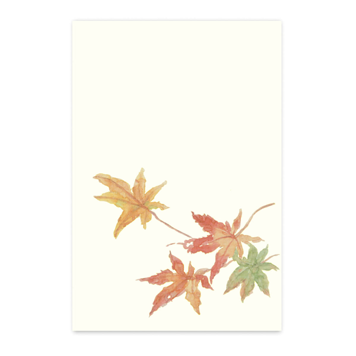 2024SA147_1200x1200.jpg?v=