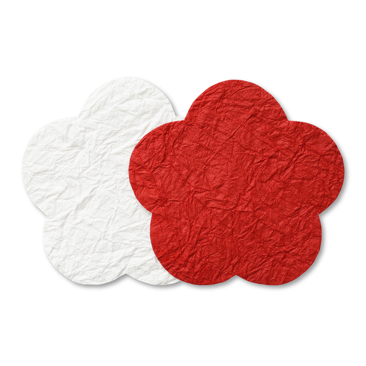 4905161607081_1200x1200.jpg?v=