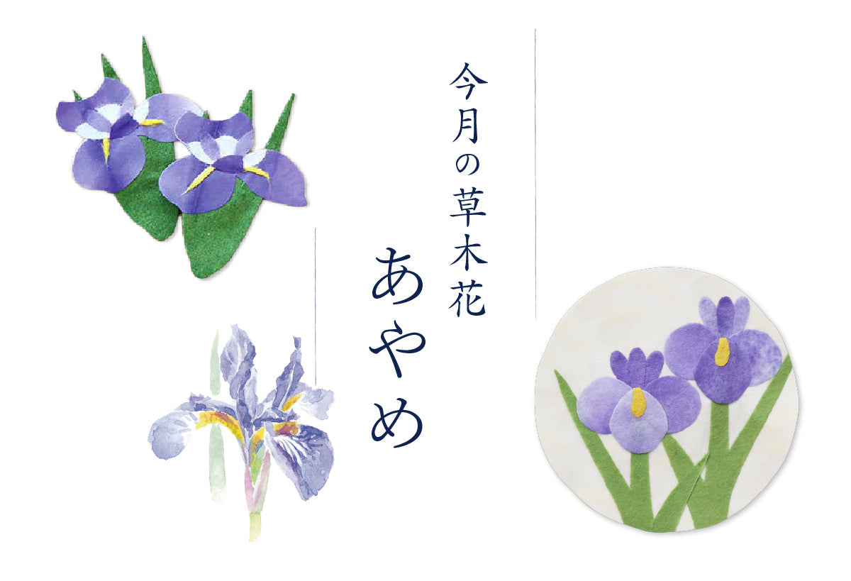 めでたや】菖蒲（あやめ）の和雑貨・和文具ご紹介 – めでたや