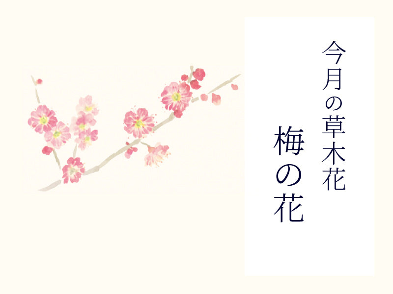 【今月の草木花】<br>春を告げる 梅の花