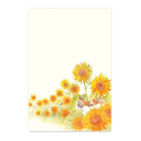 季節の絵はがき 夏 ひまわりと猫