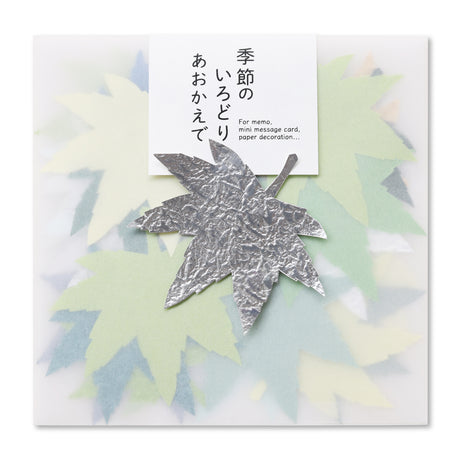 季節のいろどり あおかえで