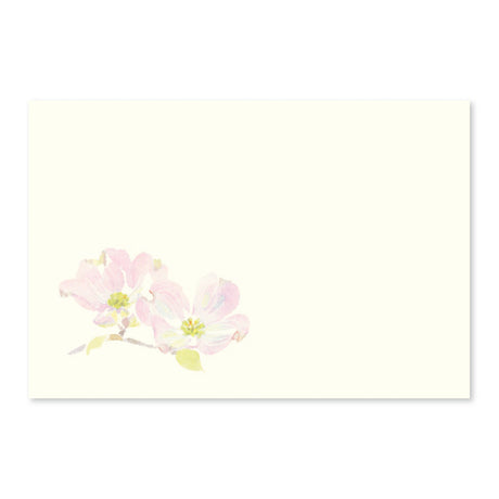 【めでたや】季節の絵はがき　春　ハナミズキ