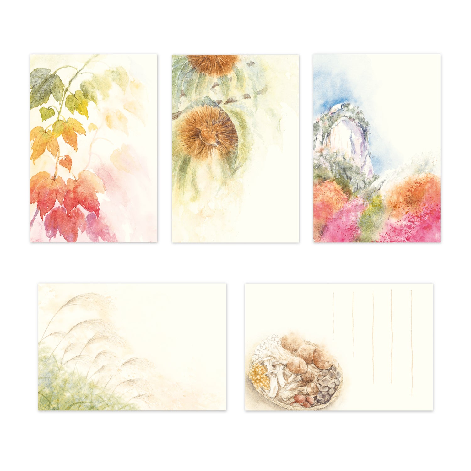 Botanical Art 四季の絵はがき 72集 Botanical Art 四季の絵はがき 72