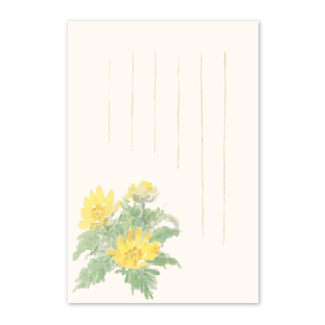 季節の絵はがき　冬　フクジュソウ