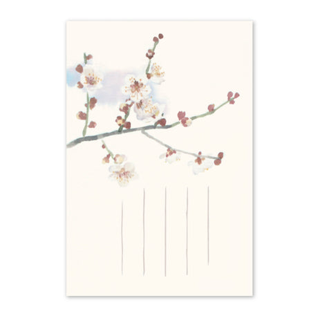 季節の絵はがき　冬　白梅