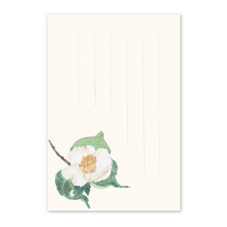 季節の絵はがき　冬　白一重椿