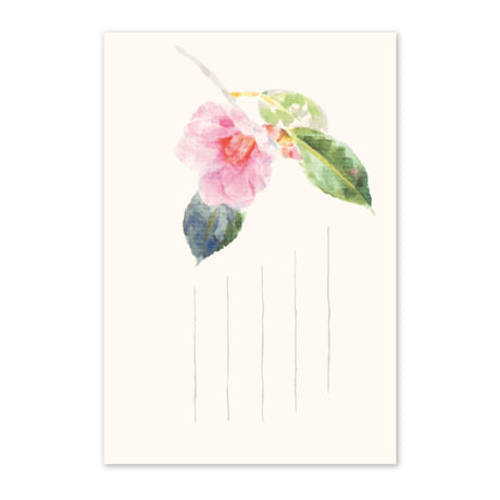 季節の絵はがき　冬　椿ピンク