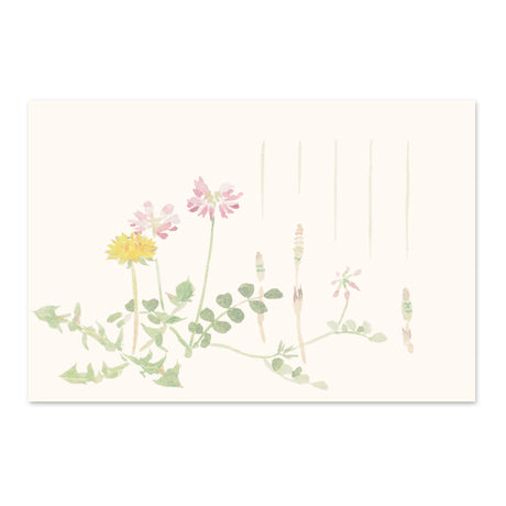 季節の絵はがき　春　春草
