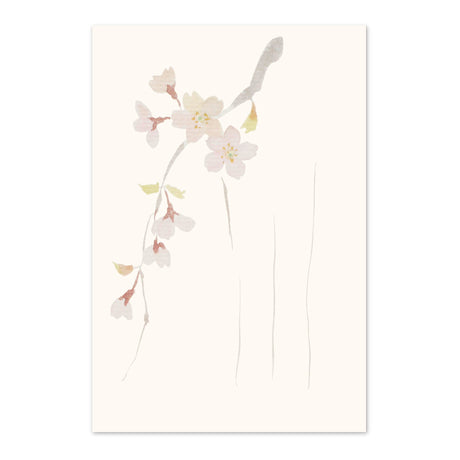 季節の絵はがき　春　しだれ桜