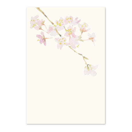季節の絵はがき　春　桜