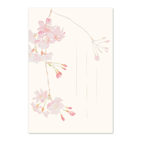 季節の絵はがき　春　紅しだれ