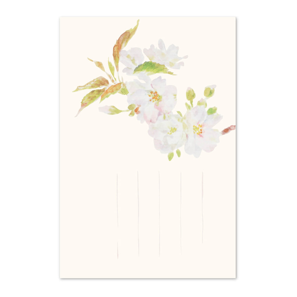 季節の絵はがき　春　鬱金の桜