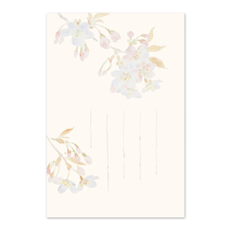 季節の絵はがき　春　山桜