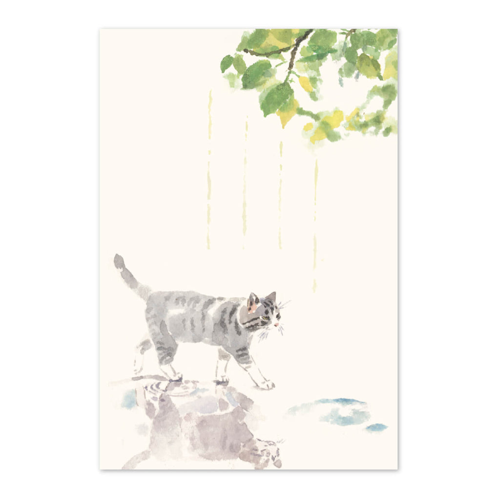 猫の絵はがき　初夏　梅雨の晴れ間