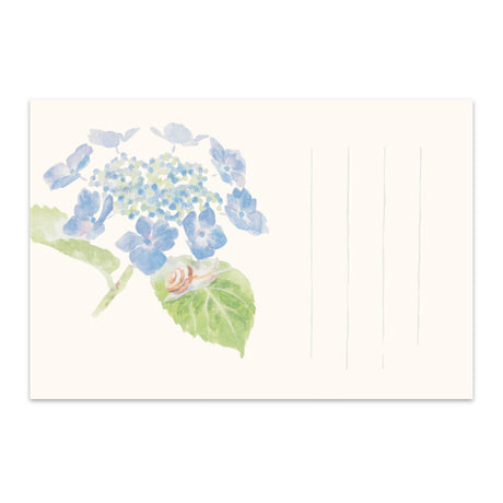 季節のはがき　初夏　額紫陽花とかたつむり