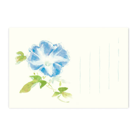 季節の絵はがき 夏 朝顔 青