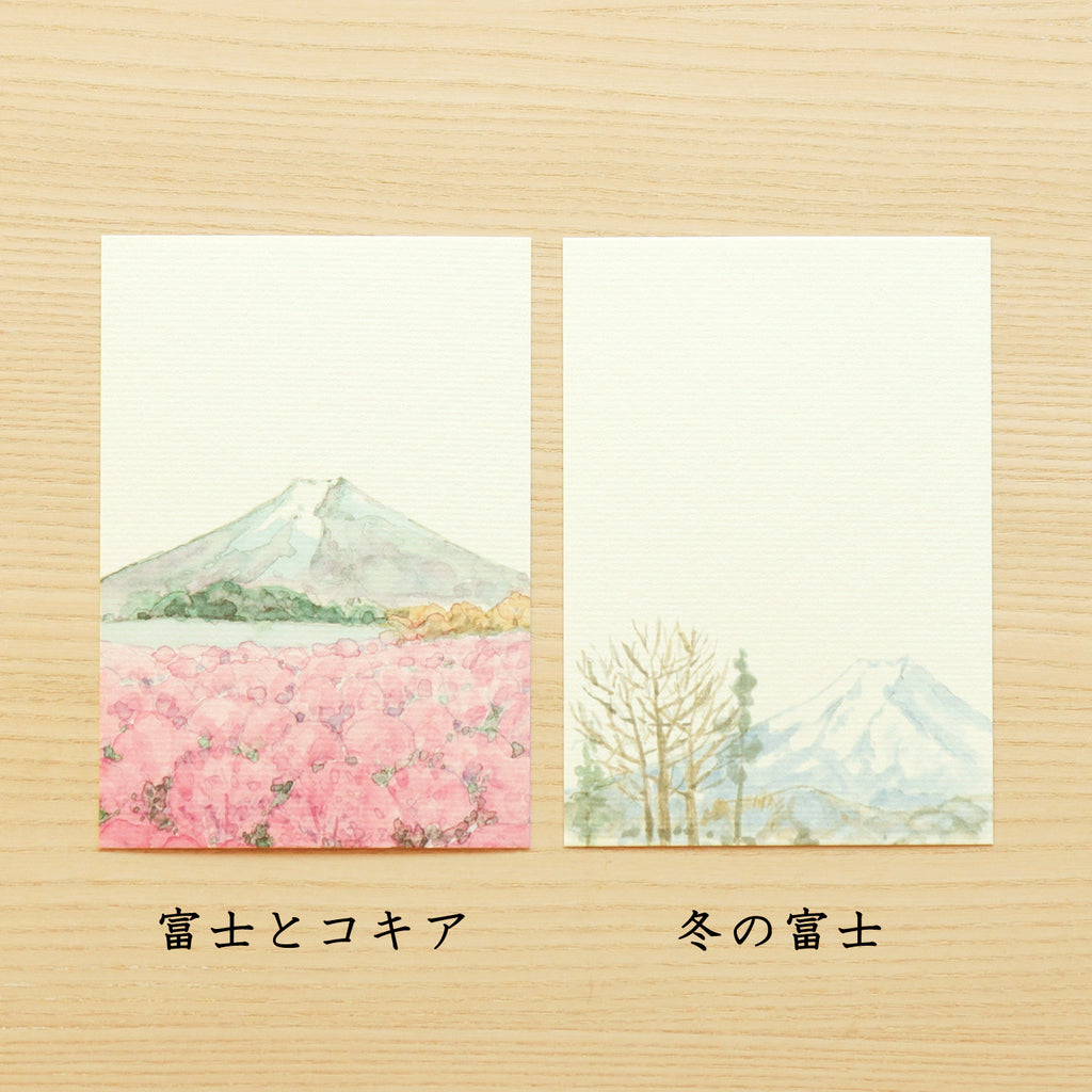 季節の絵はがき四季の富士山セット10枚入 富士とコキア・冬の富士