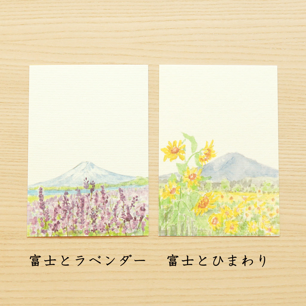 季節の絵はがき四季の富士山セット10枚入 富士とラベンダー・富士とひまわり