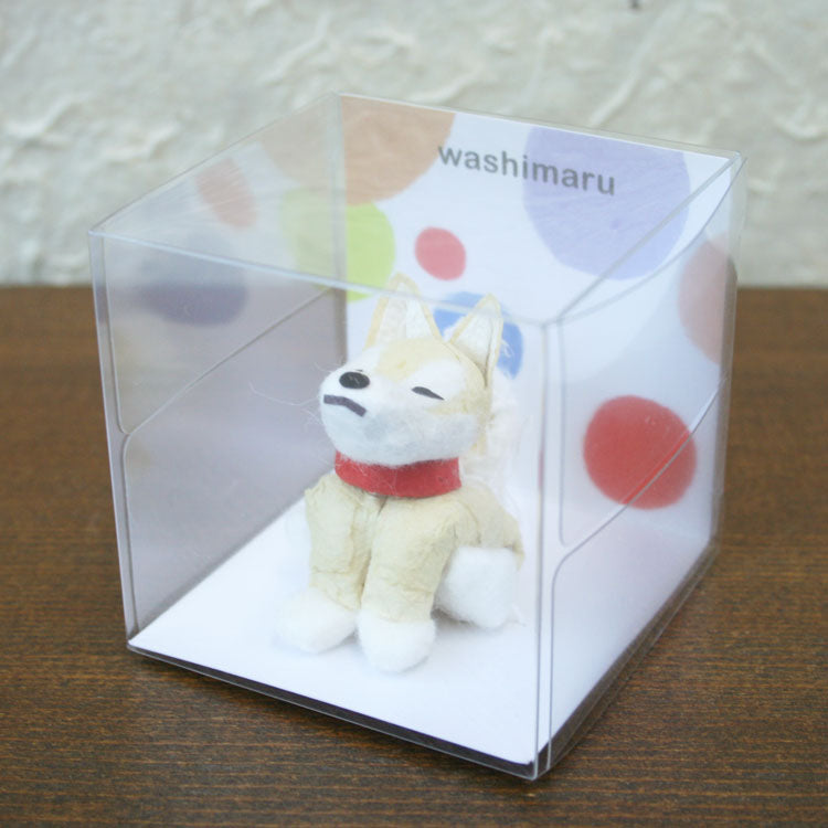washimaru　柴犬　おすわり