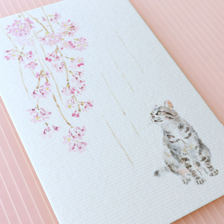 めでたや】季節の絵はがき 春 猫としだれ桜 – めでたやオンラインショップ